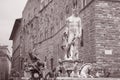 Neptune Fountain - Fontana di Nettuno by Ammannati (1565), Florence