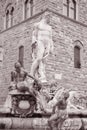 Neptune Fountain - Fontana di Nettuno by Ammannati (1565), Florece