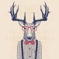 Nerd deer Royalty Free Stock Photo