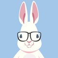Nerd Rabbit Royalty Free Stock Photo