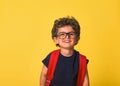 Nerd smart confident little kid boy in eyeglasses with big backpack. School, kid, rucksack. Cheerful smiling child Royalty Free Stock Photo