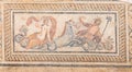 Nereid and Triton Mosaic in Terrace Houses, Ephesus Ancient City Royalty Free Stock Photo