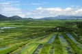 Neretva Delta Royalty Free Stock Photo
