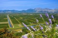 Neretva Delta Royalty Free Stock Photo