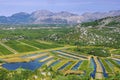 Neretva Delta Royalty Free Stock Photo