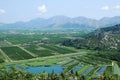 Neretva river delta in Croatia Royalty Free Stock Photo