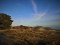 Neringa landscapes in Lithuania in summer