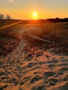 Neringa landscapes in Lithuania in summer