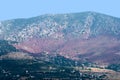 Nerium forest back of Kozan on Taurus Mountains in Adana Turkey Royalty Free Stock Photo