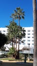 Palm Trees and hotel in Nerja Spain Royalty Free Stock Photo