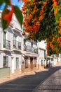 Beautiful streets of Nerja. Typically Andalusian houses.