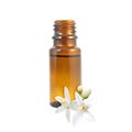 Neroli essential oil and flowers isolated on white Royalty Free Stock Photo