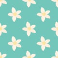 Neroli flower seamless pattern, oil plant, essential cosmetics. Vector illustration