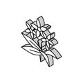 neroli flowers aromatherapy isometric icon vector illustration Royalty Free Stock Photo