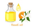 Neroli oil in glass bottle and drop isolated on white. Vector illustration of white orange flowers Royalty Free Stock Photo