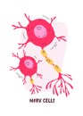 Nerv Human Cells Royalty Free Stock Photo