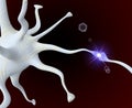 Nerve cell Royalty Free Stock Photo