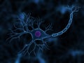 Nerve cell Royalty Free Stock Photo