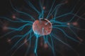 Nerve cells in brain or photography of plasma ball