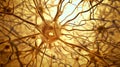 nerve cells of the nervous system ganglia, active neurone