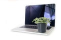 Nerve plant on flowerpot over laptop and isolated white background.