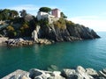 Nervi