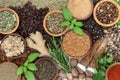 Nervine Herbal Plant Medicine for Nervous System Tonic