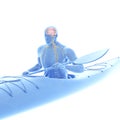 The nervous system of a canoeist Royalty Free Stock Photo