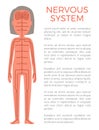 Nervous System Poster and Text Vector Illustration