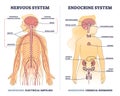 Nervous system vs endocrine with messengers differences outline diagram Royalty Free Stock Photo