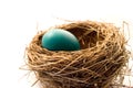 Nest Royalty Free Stock Photo