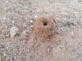 Nest for ants on earth surface
