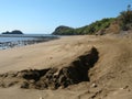 nest on the beach of green sea turtle, the morning after it spawn Royalty Free Stock Photo