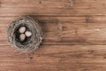 Nest or bird nest over old planks.Top view, copy space
