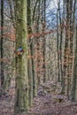 Nest box or bird house on bare tree trunk coveys intimacy and cosiness concept in winter. Illustration of safeness and protection