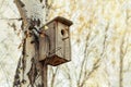 Nest box close up. Wooden birdhouse on tree in birch forest