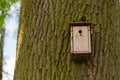 Nest box on a tree Royalty Free Stock Photo
