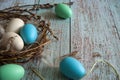 Nest with colored eggs and fluffy feathers close-up on a light blue wooden background. Royalty Free Stock Photo