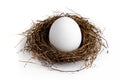Nest Egg Royalty Free Stock Photo
