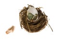 Nest Egg Royalty Free Stock Photo