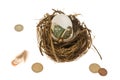 Nest Egg Royalty Free Stock Photo