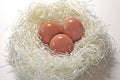 Nest Egg Royalty Free Stock Photo