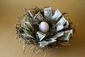 Nest Egg Royalty Free Stock Photo