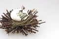 Nest egg 4 Royalty Free Stock Photo