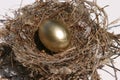 Nest Egg Royalty Free Stock Photo