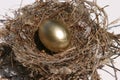 Nest Egg