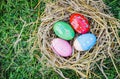 Nest egg colorful decorated festive tradition easter eggs on green grass Royalty Free Stock Photo