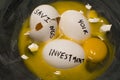 Nest egg Royalty Free Stock Photo