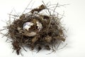 Nest Egg Cracked Royalty Free Stock Photo