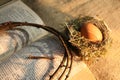 Nest and egg Royalty Free Stock Photo